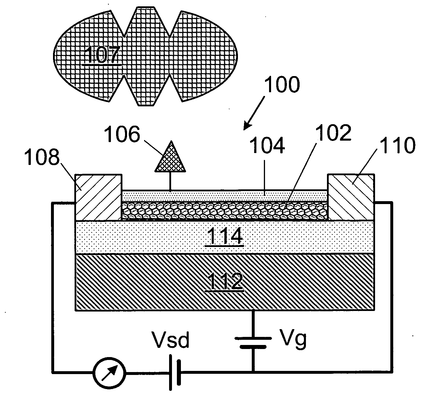 System and method for electronic sensing of biomolecules