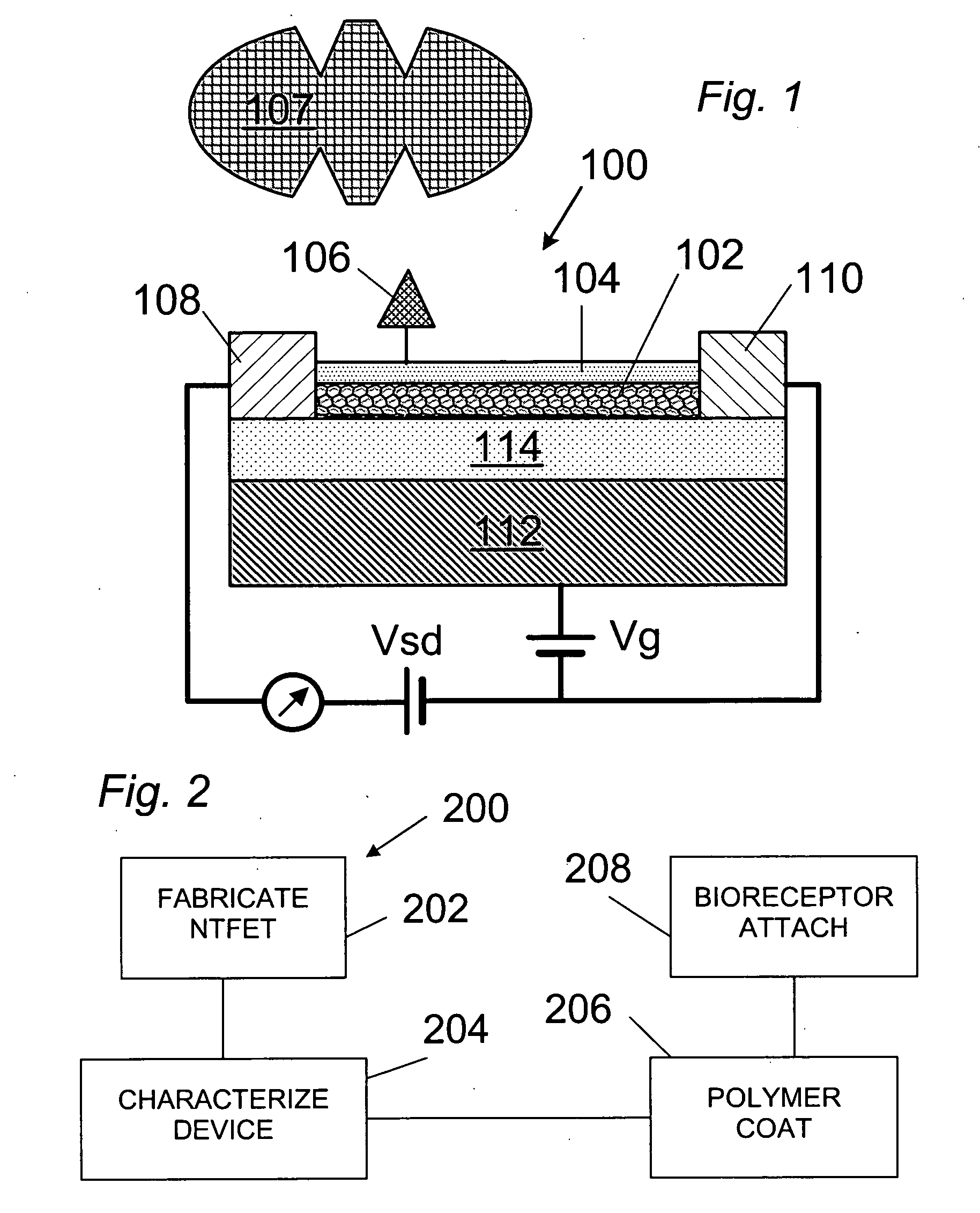 System and method for electronic sensing of biomolecules