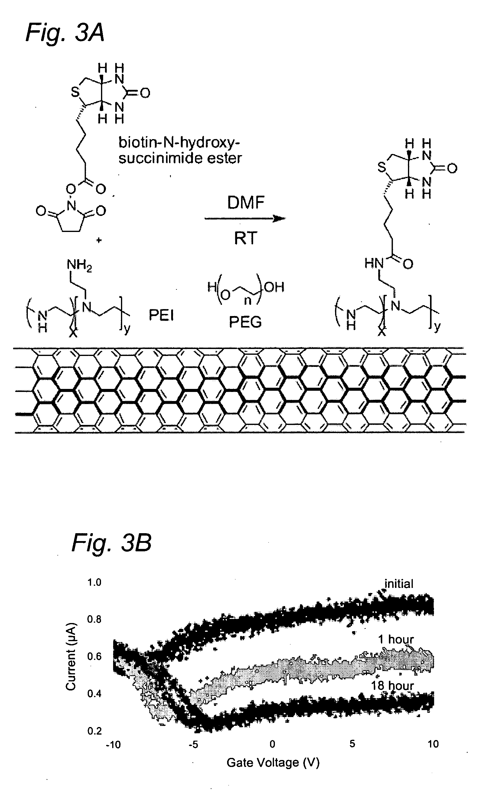 System and method for electronic sensing of biomolecules