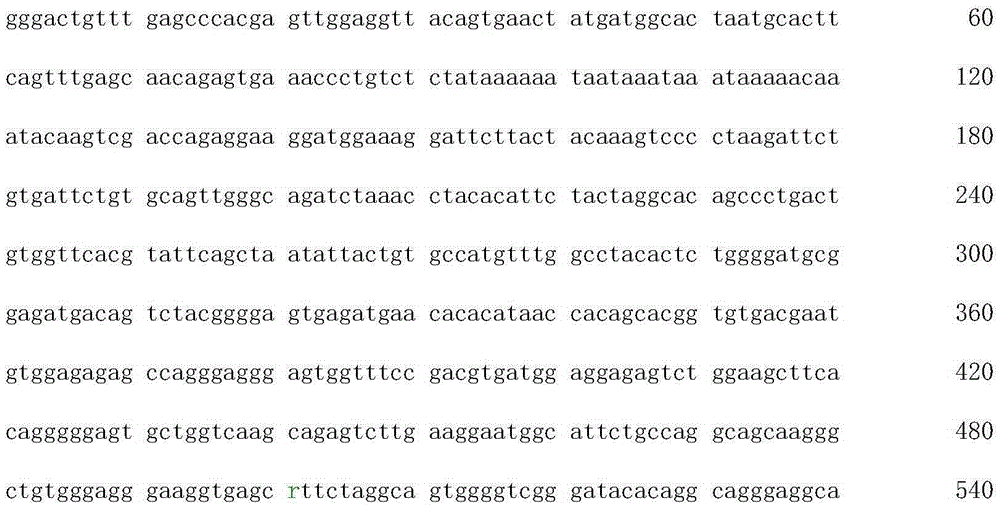 Genotyping method of human PLIN1 gene rs2289487 site polymorphism