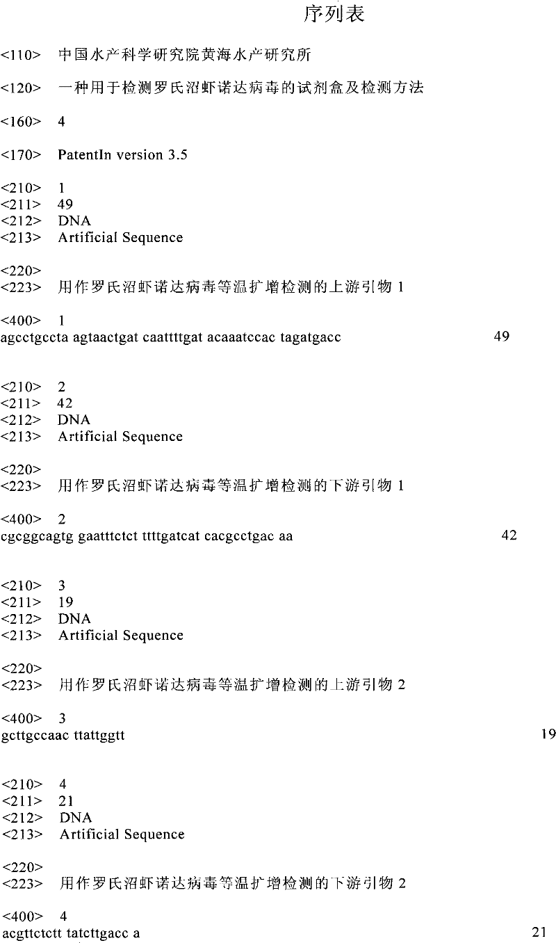 Kit and method for detecting Macrobrachium rosenbergii Nodavirus