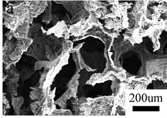 Preparation method of carbon/carbon nano tube composite foam adsorption material