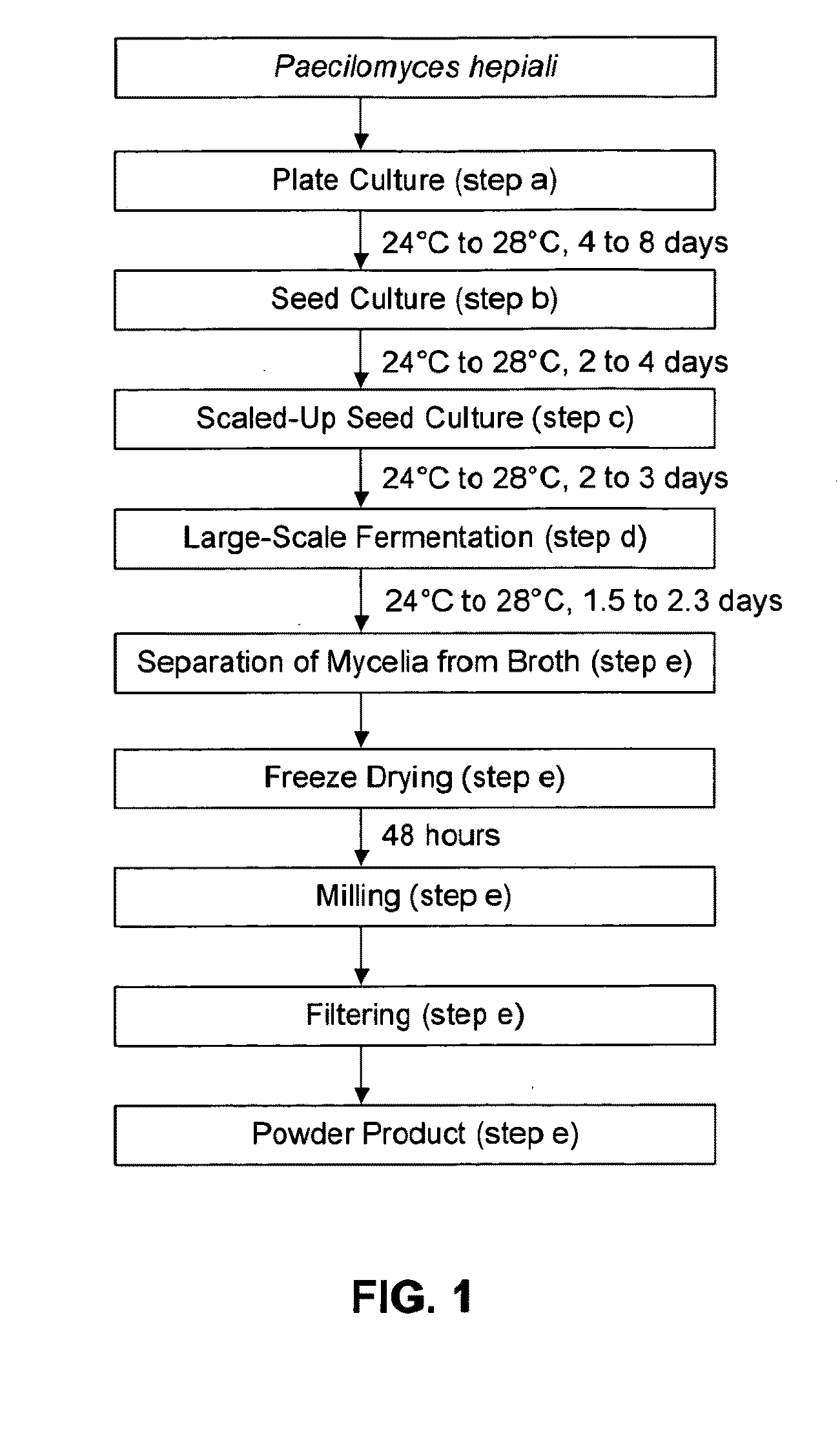Methods for making and compositions comprising fermentation products of cordyceps sinensis