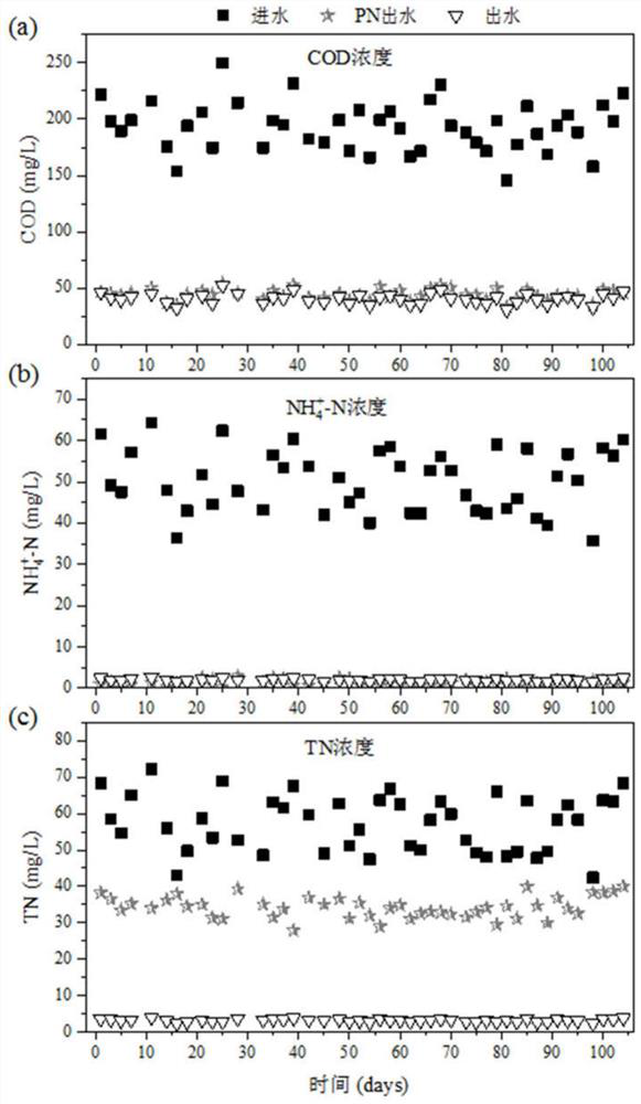 Two-stage short-cut nitrification and anaerobic ammonia oxidation coupled endogenous denitrification deep denitrification device and method thereof
