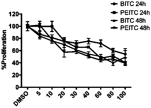 Application of isothiocyanate compound in preparing targeted drug for esophageal cancer