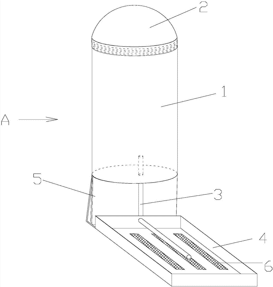 Automatic small animal water feeder