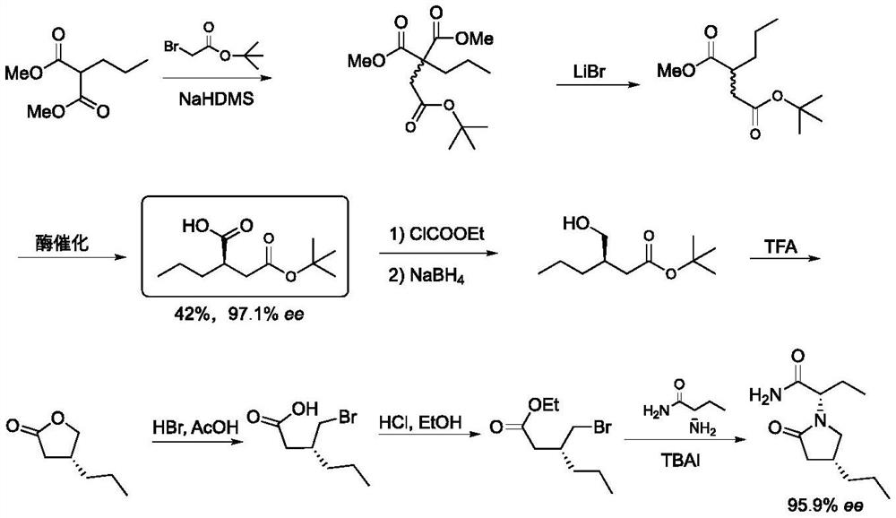 Baeyer-Villiger monooxygenase and application thereof in synthesis of briracetam