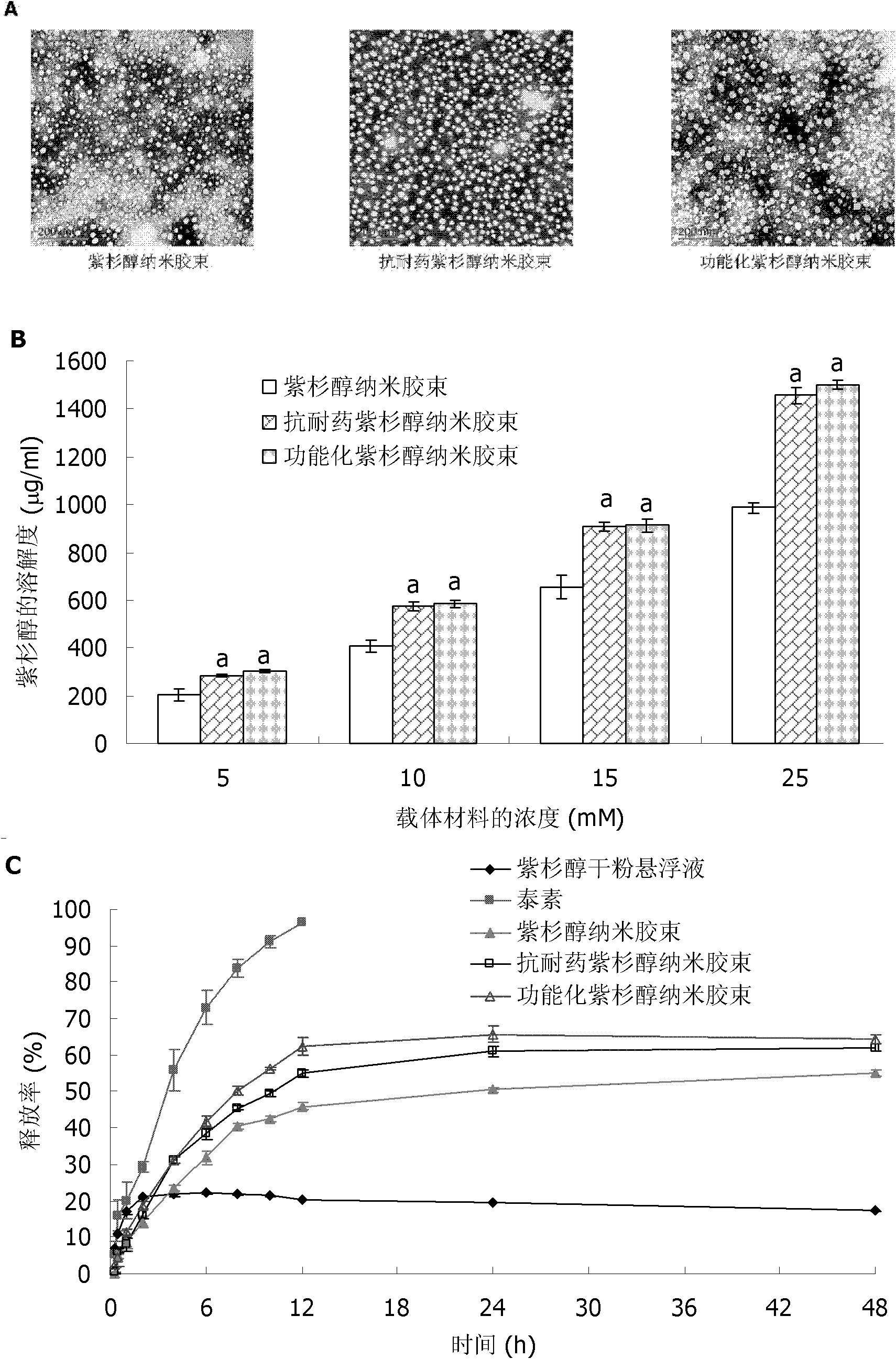 Paclitaxel nano micelle and application thereof