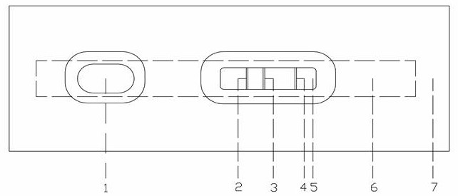 Detection card for simultaneously detecting aflatoxin B1 and zearalenone