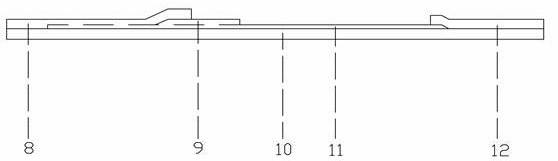 Detection card for simultaneously detecting aflatoxin B1 and zearalenone