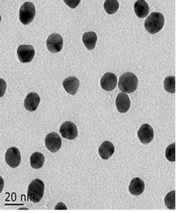 Detection card for simultaneously detecting aflatoxin B1 and zearalenone