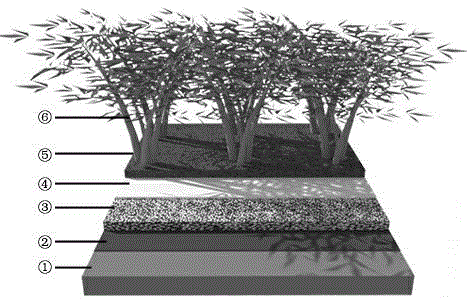 Plant habitat restriction ecological technology for roof greening and three-dimensional greening
