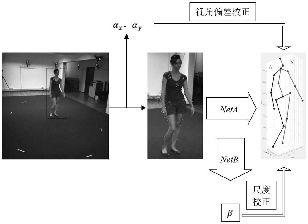 Three-dimensional human body posture estimation method for obtaining spatial positioning and computer readable storage medium
