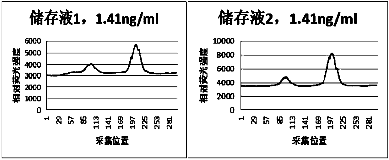 Immunofluorescent quantitative test strip detecting creatine kinase isoenzyme mass