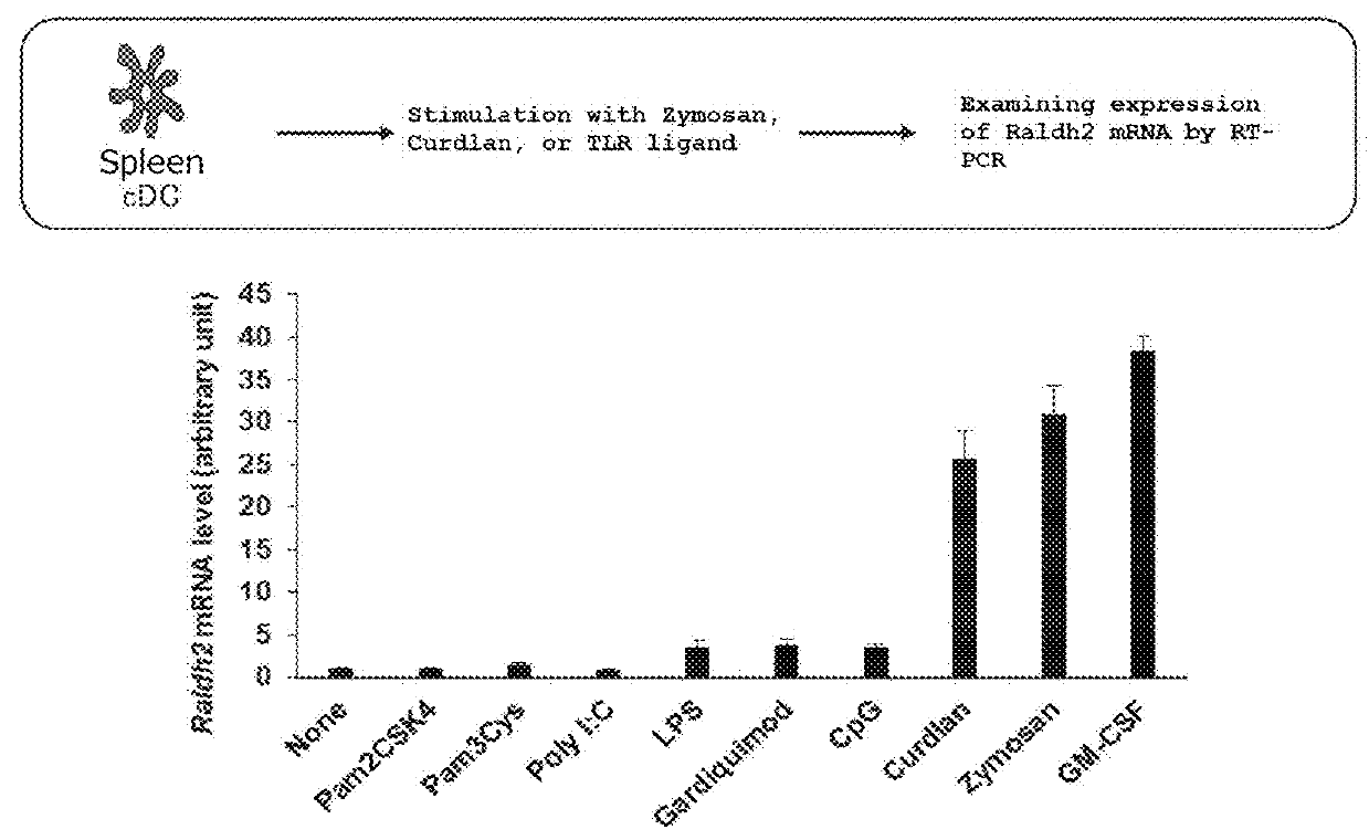 Adjuvant for Vaccines, Vaccine, and Immunity Induction Method