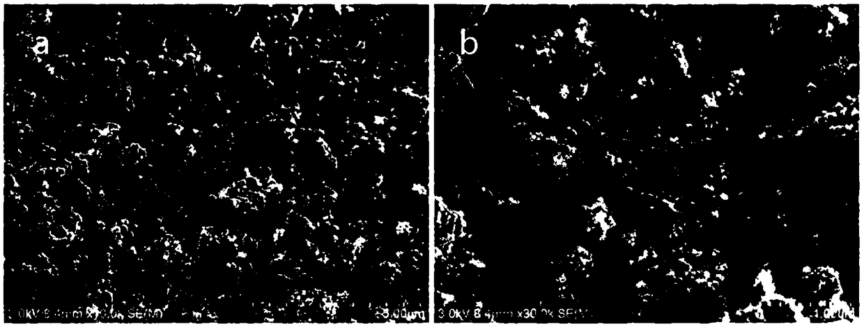 Molybdenum-doped anatase titanium dioxide negative electrode material for lithium ion battery and preparing method of molybdenum-doped anatase titanium dioxide negative electrode material