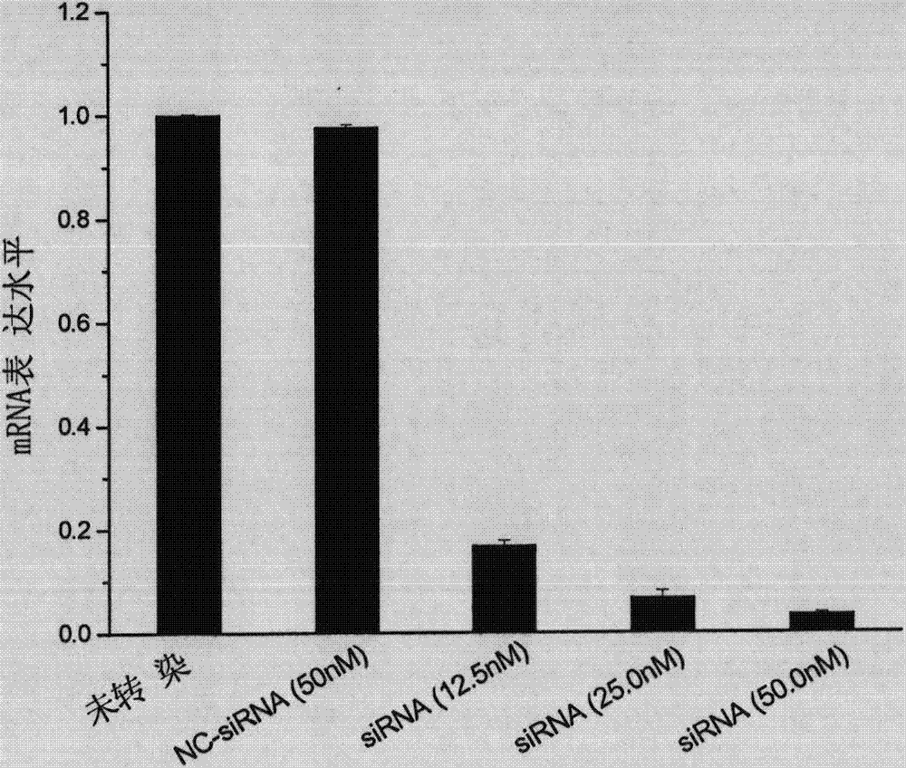 Double-chain siRNA molecule and application thereof