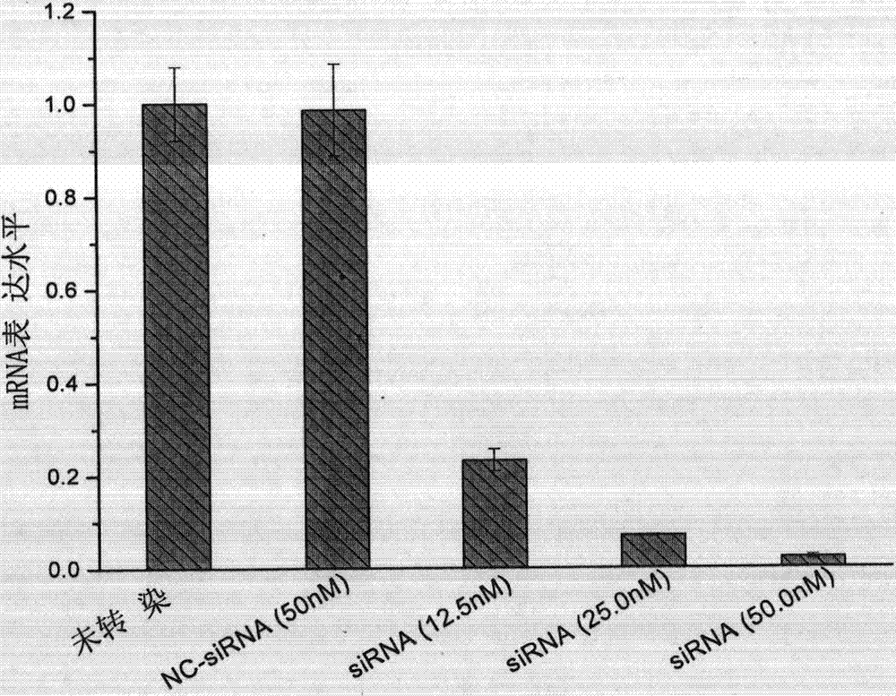 Double-chain siRNA molecule and application thereof