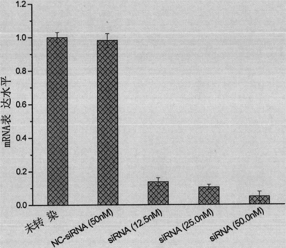 Double-chain siRNA molecule and application thereof