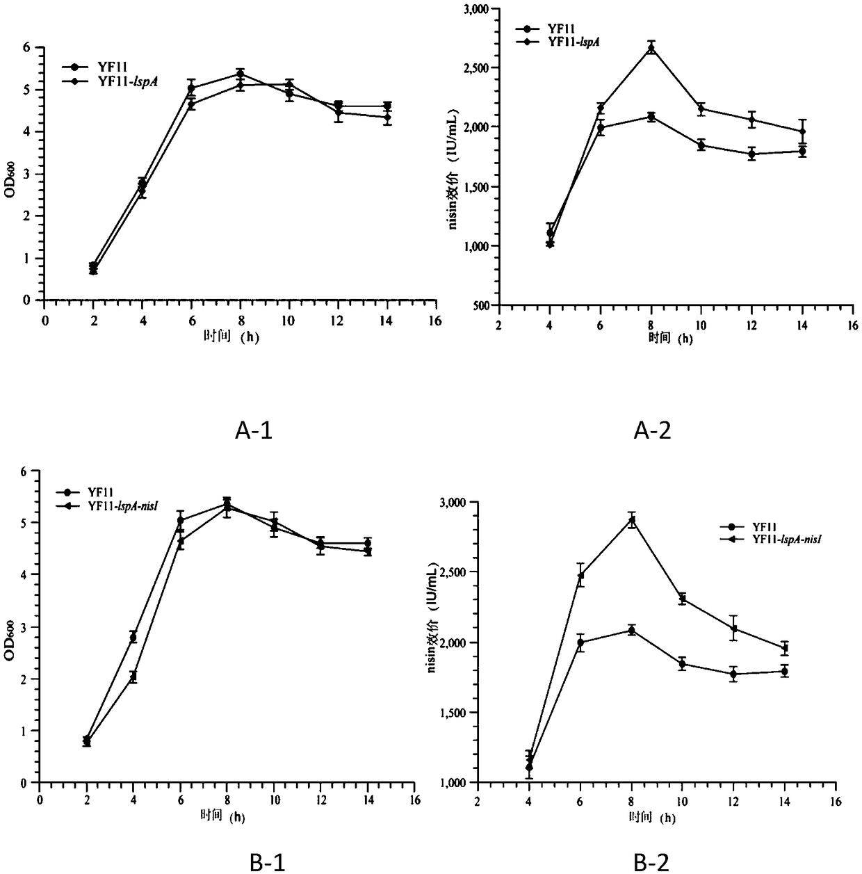 Recombinant lactococcus lactis yielding nisin highly and construction method