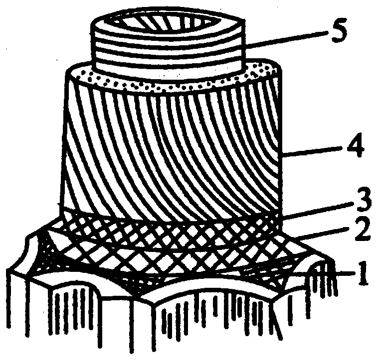 Plant fiber treatment and preparation method for papermaking