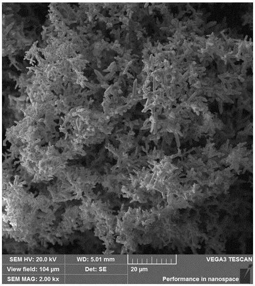 Method for extracting lead through electrolyzing recycled waste lead storage battery lead plaster by ionic liquid