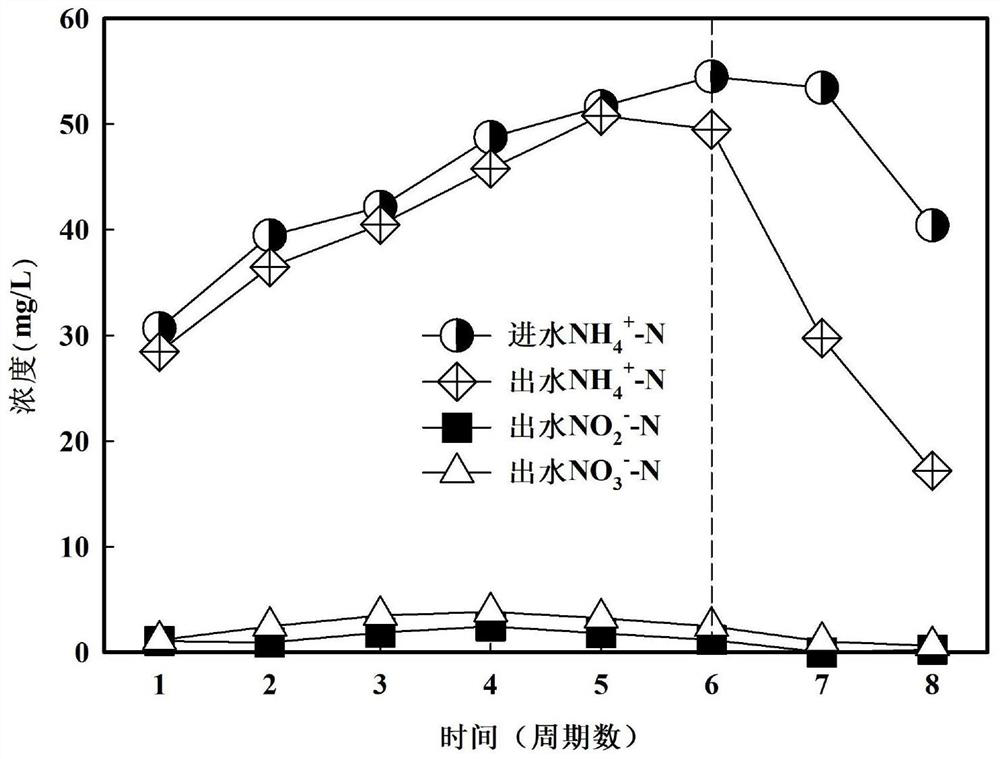 Method for retaining ammonia nitrogen by using polylysine in biological sewage treatment process