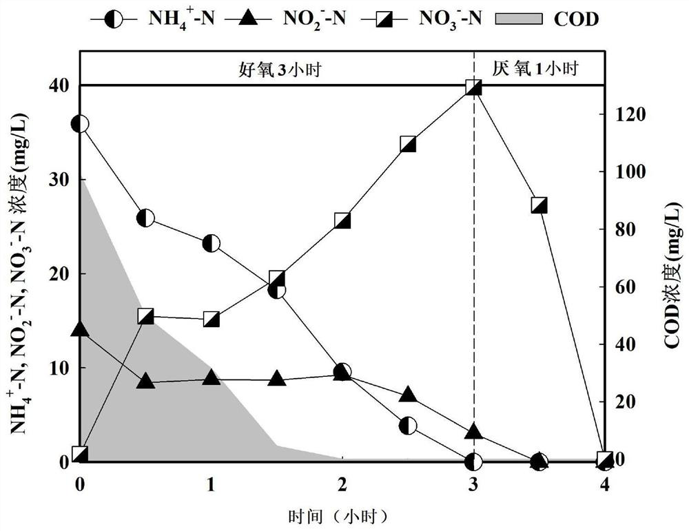 Method for retaining ammonia nitrogen by using polylysine in biological sewage treatment process