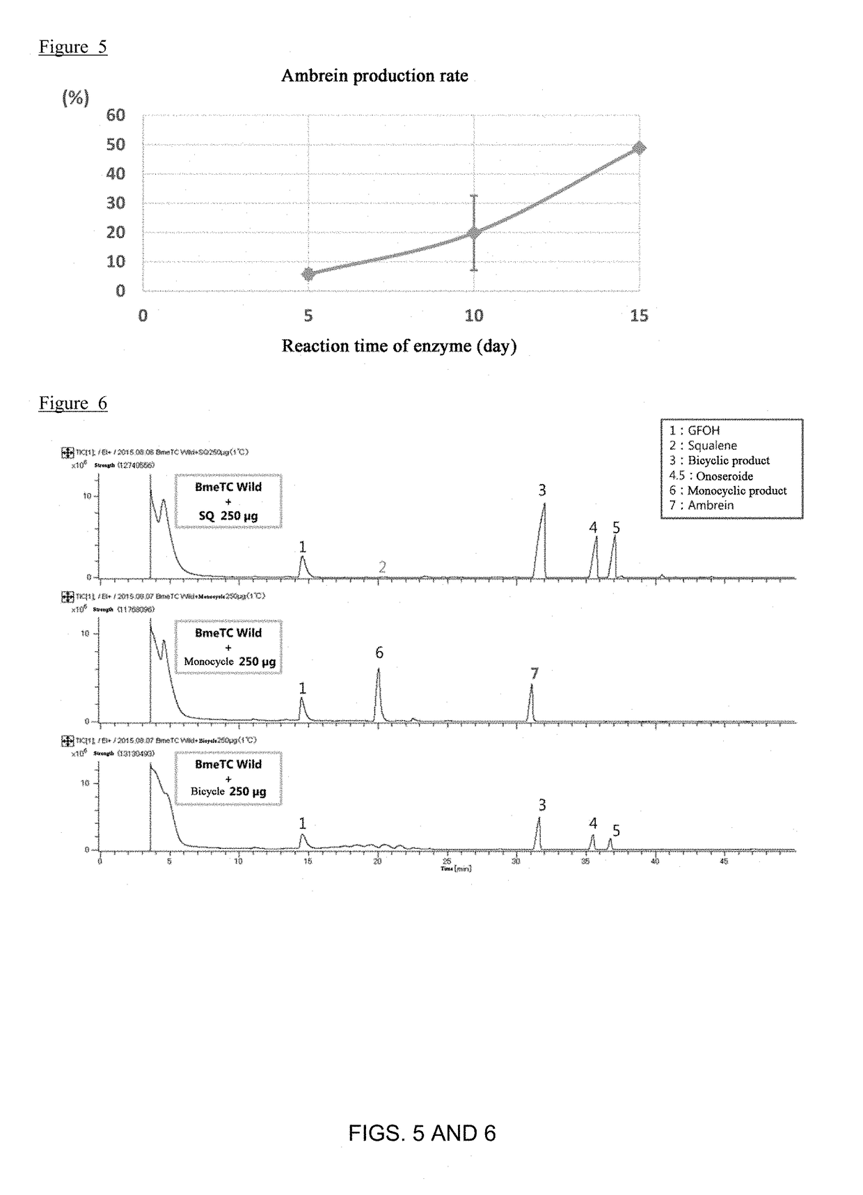 Variant type tetraprenyl-b-curcumene cyclase and method for producing ambrein