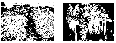 Microbial seedling culture medium and preparation method and application thereof