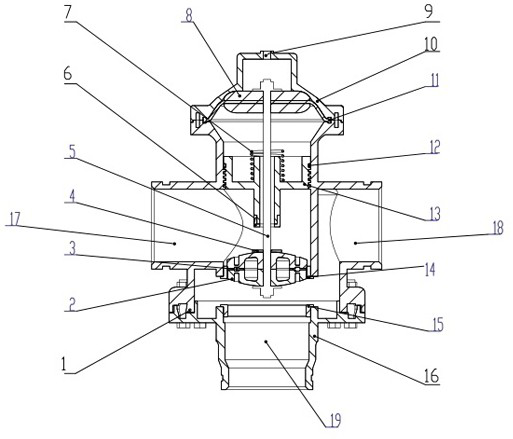 Backwashing valve