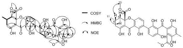 Applications of secalonic acid H derived from Penicillium oxalicum in preparation of anti-human esophageal cancer drugs