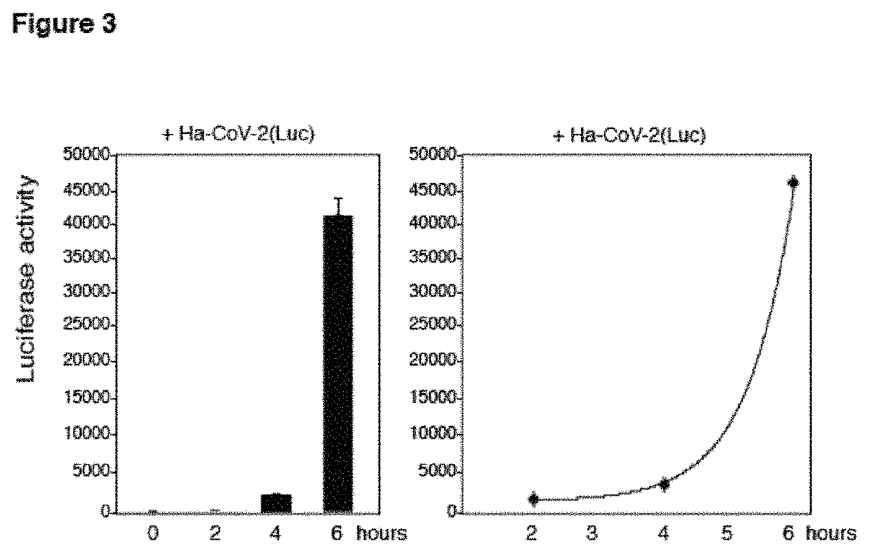 Hybrid alphavirus-sars-cov-2 particle and methodology of making and using same