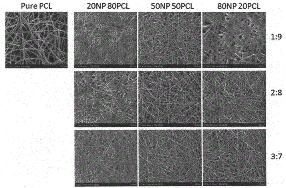 Natural protein/polycaprolactone nanofiber electrospun membrane, and preparation and application thereof