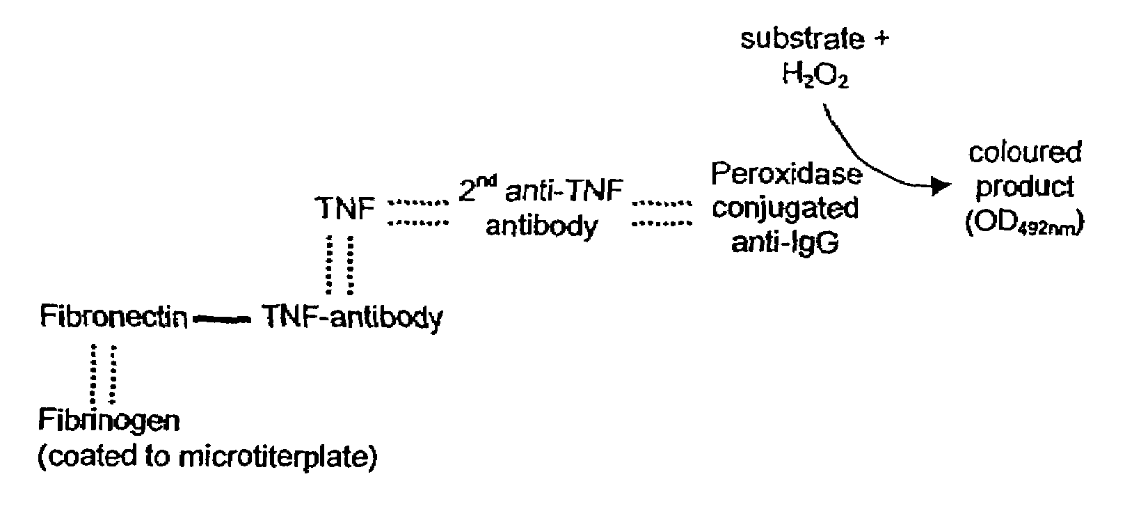 Fibrin/fibrinogen-binding conjugate