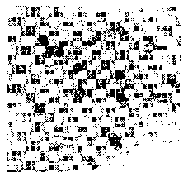 Preparation process of nanometer magnetic drug-carrying gene-carrying thermal controlled release liposome