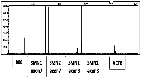Detection kit for copy numbers of SMN1 and SMN2 genes