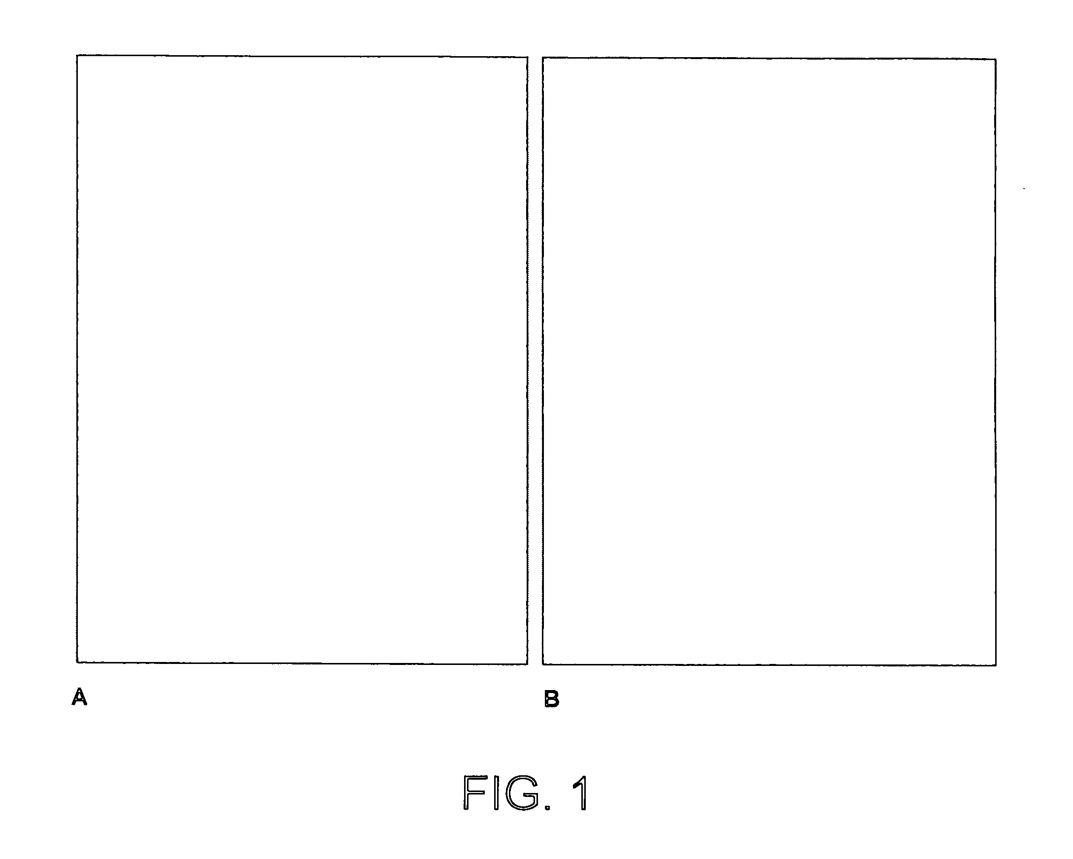 Compositions and methods to generate pilosebaceous units