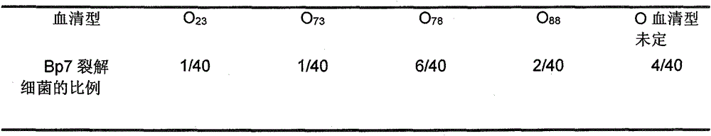 Bacteriophage with environment disinfection capability and applications thereof