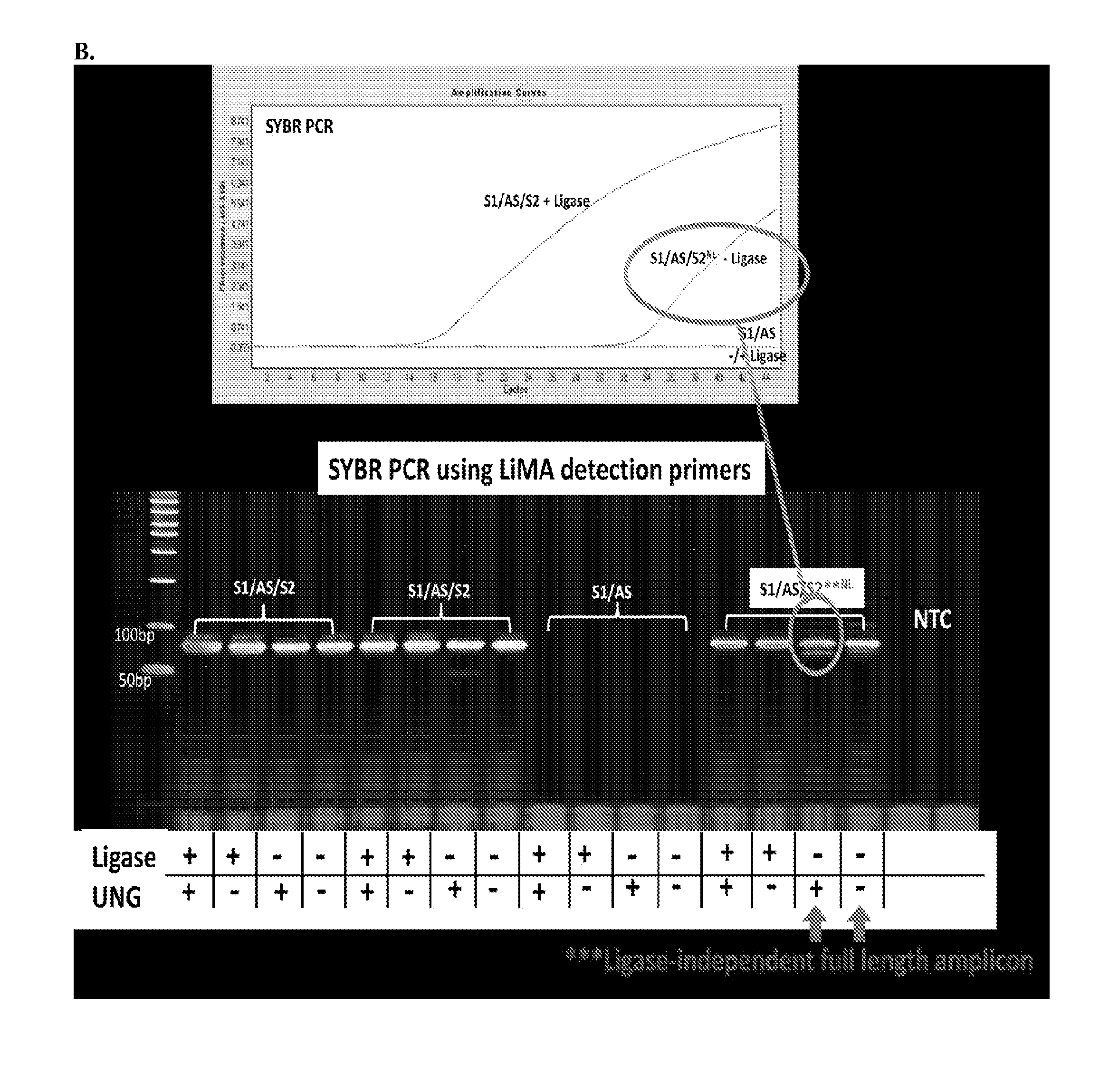 Methods for measuring enzyme activity useful in determining cell viability in non-purified samples