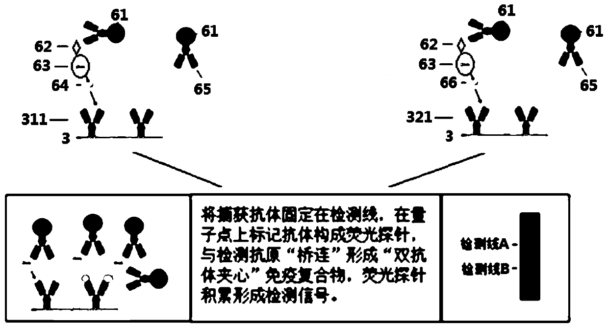 Antibody array card for detecting oxaprozin and ibuprofen by using marker guided universal signal