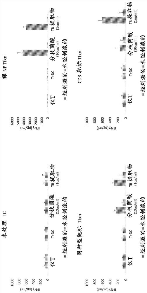 Recombinant cd1-restricted t cells and methods