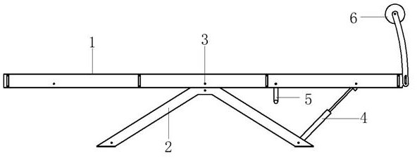 Physiotherapy and feature-beautifying air rod angle adjusting bed