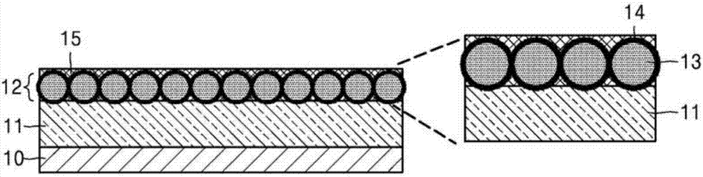 Negative electrode for lithium metal battery and lithium metal battery comprising the same