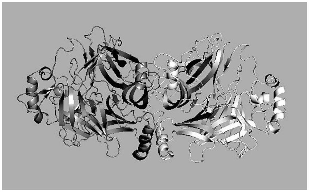 Subunit h protein of Peste des petits ruminants virus and its preparation method and application