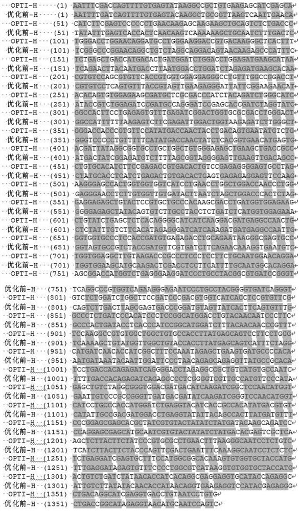 Subunit h protein of Peste des petits ruminants virus and its preparation method and application