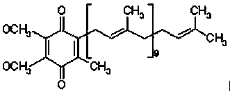 Coenzyme Q10 capsule and preparation method thereof