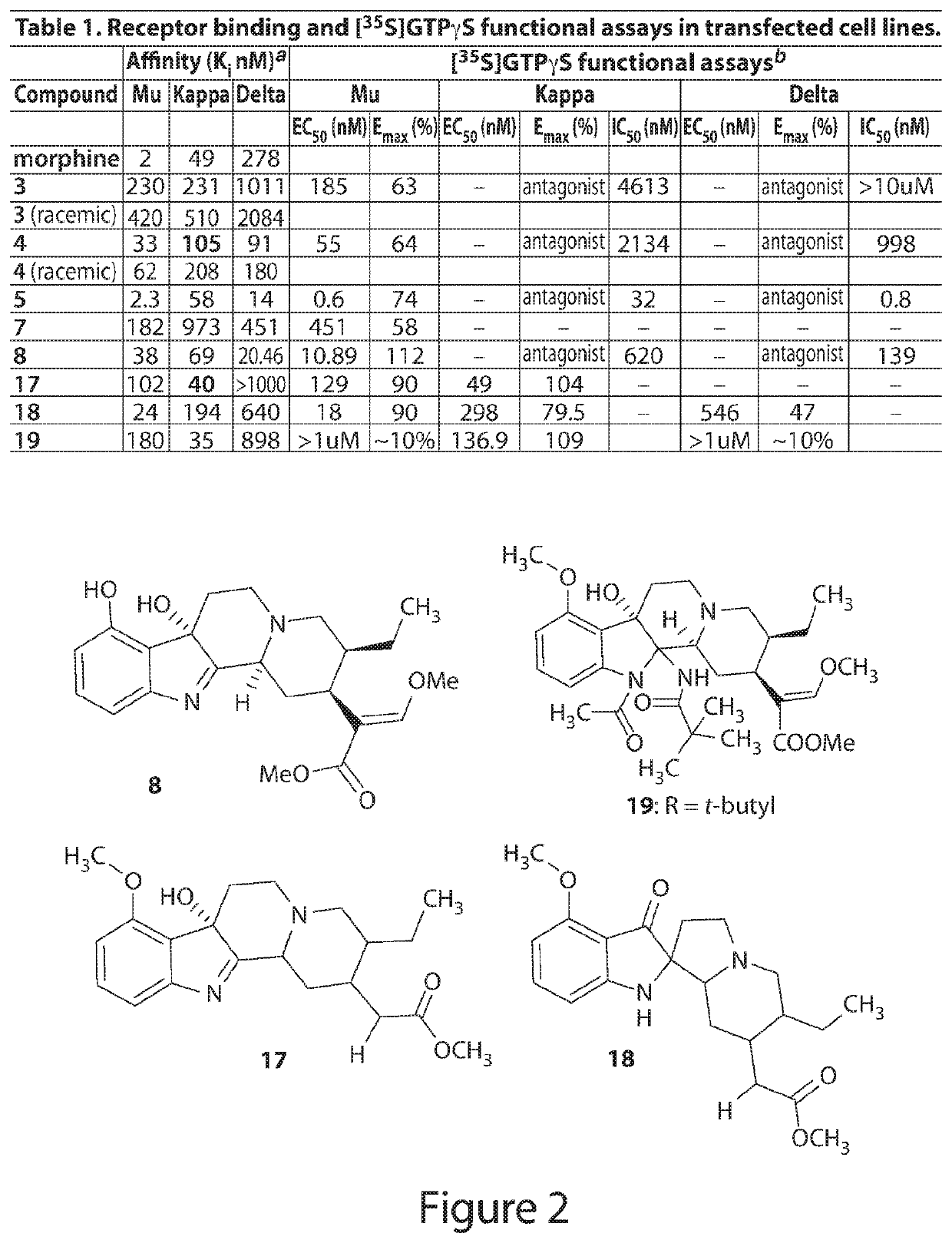 Mitragynine analogs and uses thereof
