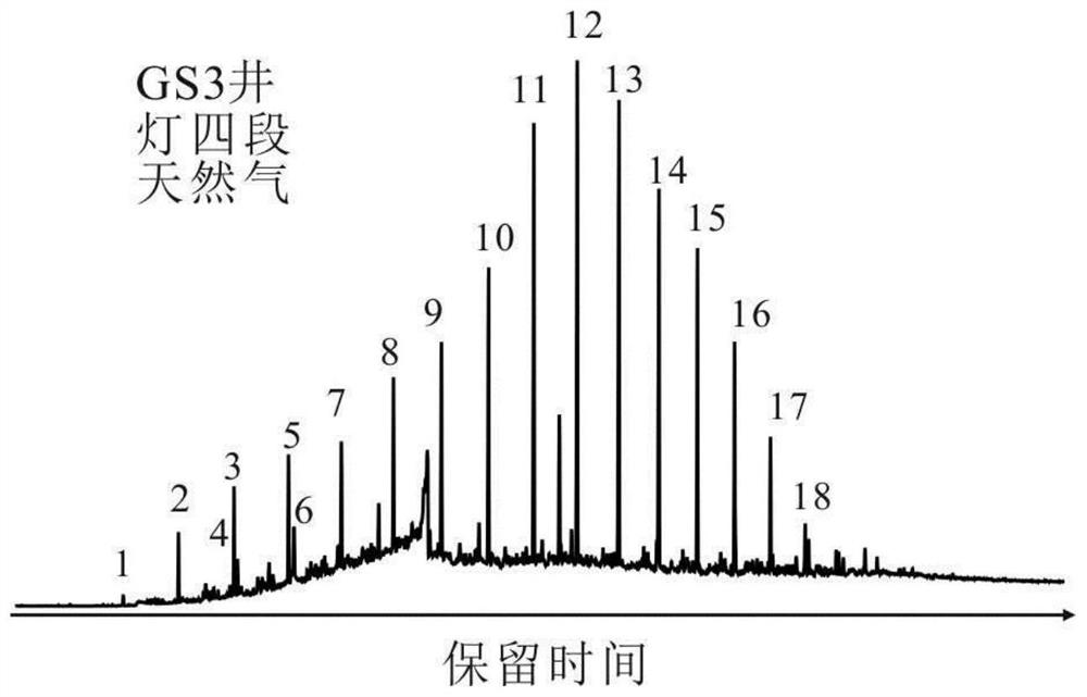 Wellhead dry gas C15-C32 molecular marker enrichment method and device