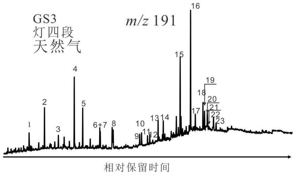 Wellhead dry gas C15-C32 molecular marker enrichment method and device